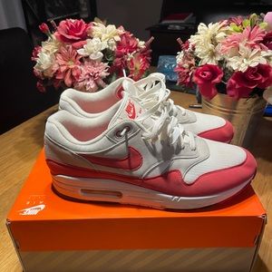 Mens Nike Air Max 1 30th Anniversary Shoes